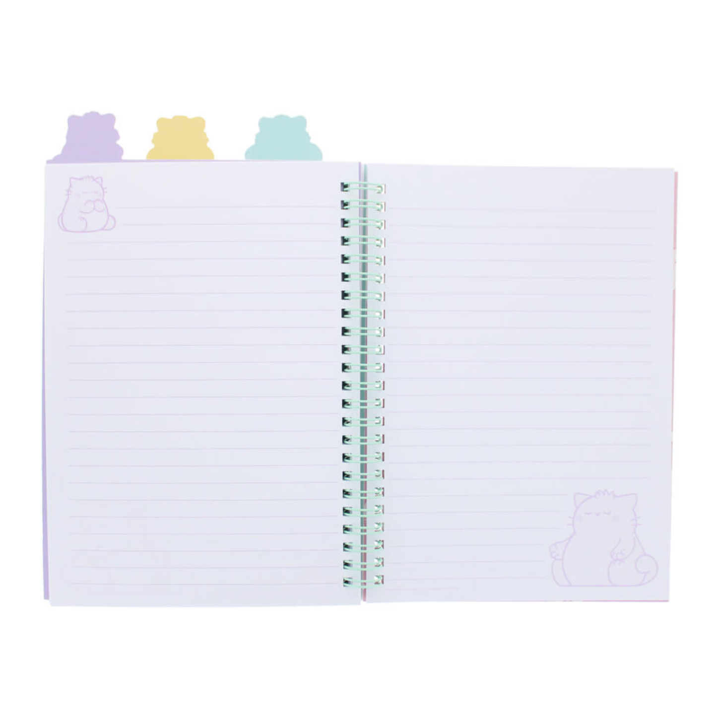 Pembe Project Notebook