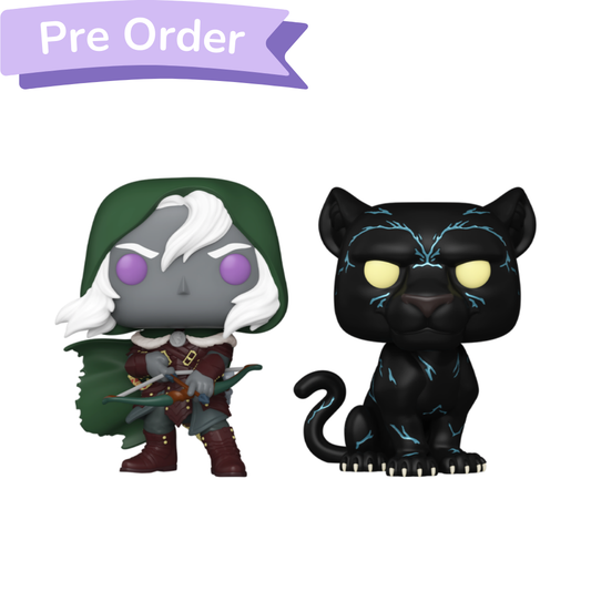Dungeons & Dragons Drizzt Do'Urden & Guenhwyvar Pop