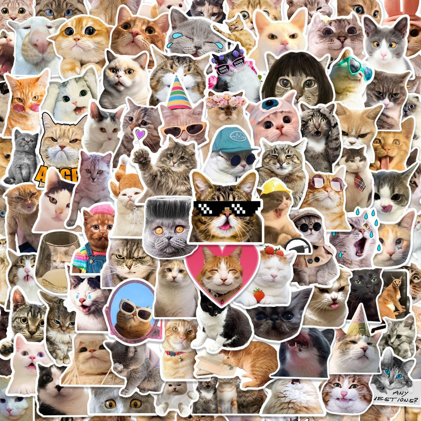 Funny Cats 50 Piece Sticker Pack