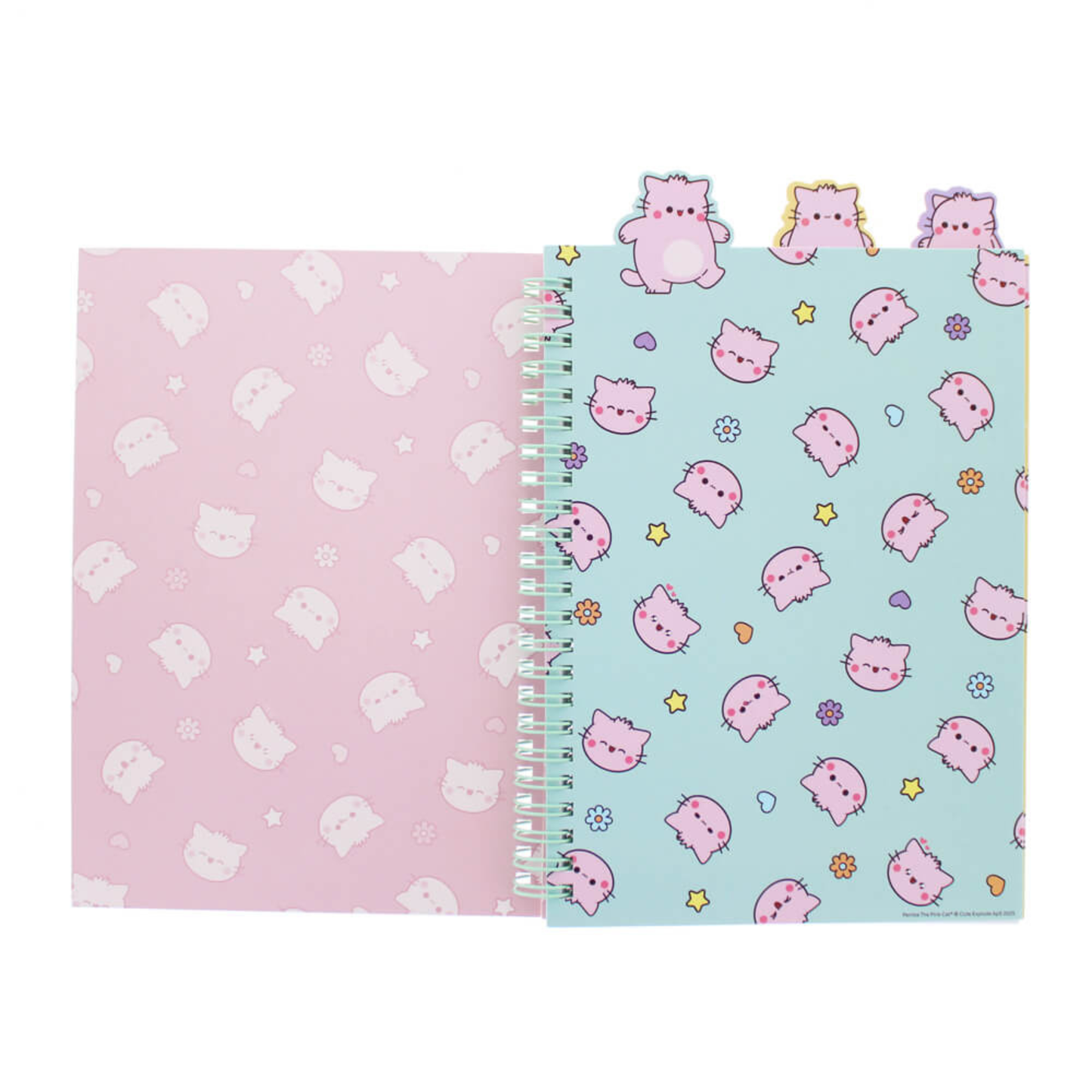 Pembe Project Notebook