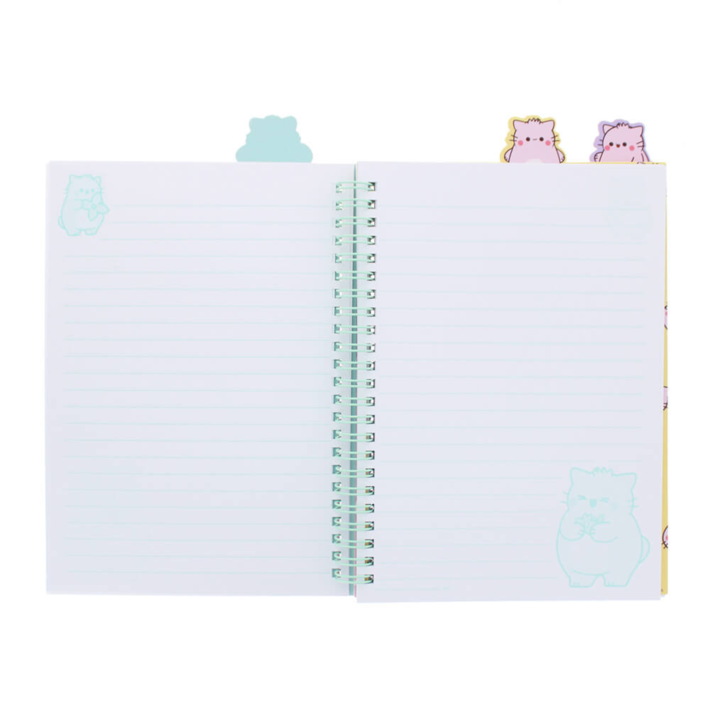 Pembe Project Notebook