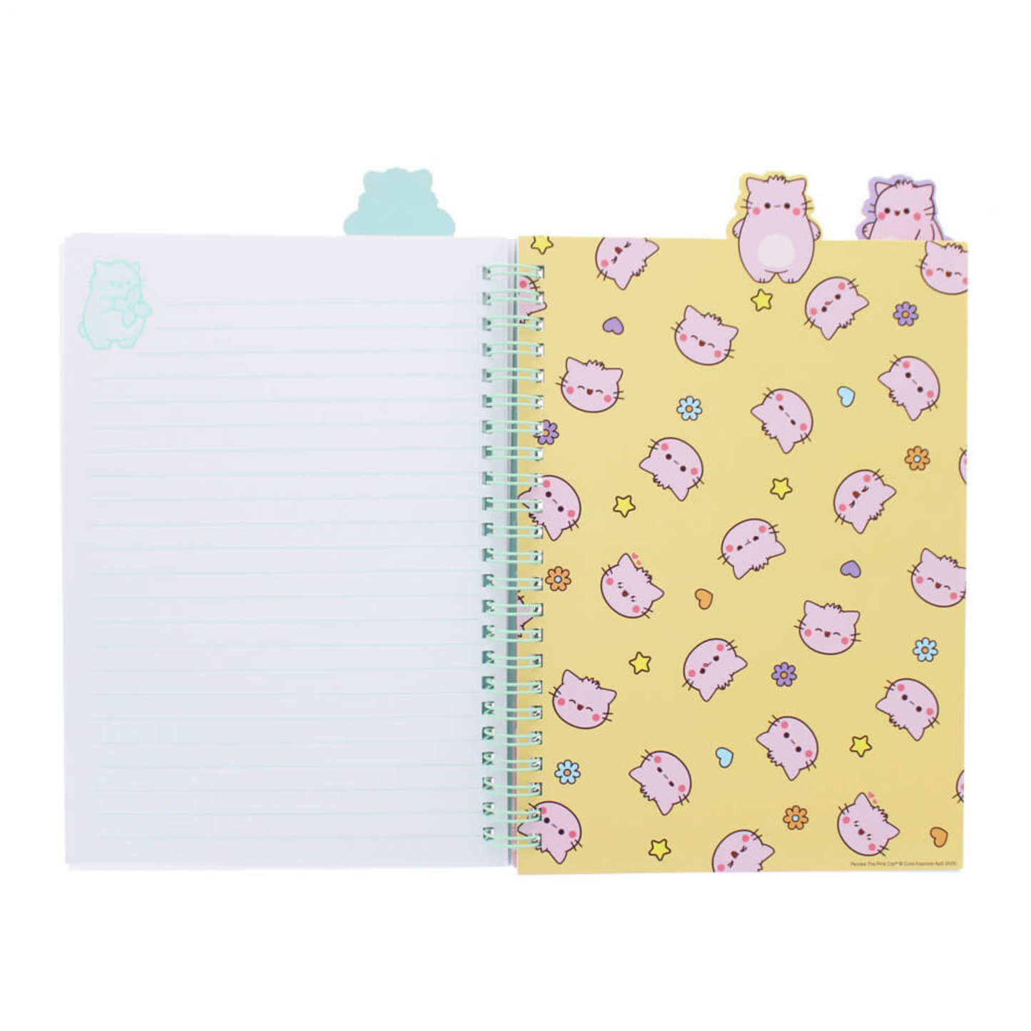 Pembe Project Notebook