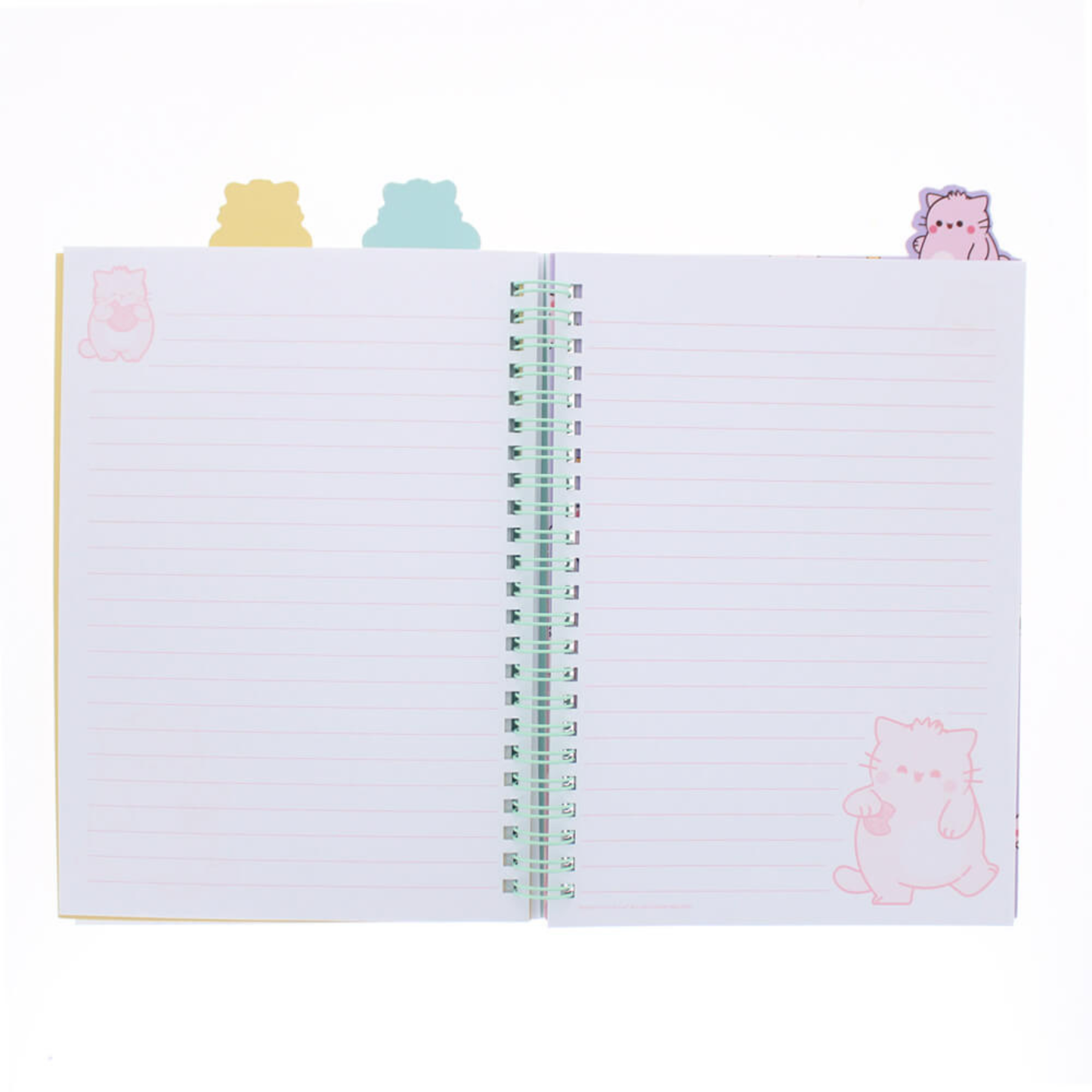Pembe Project Notebook