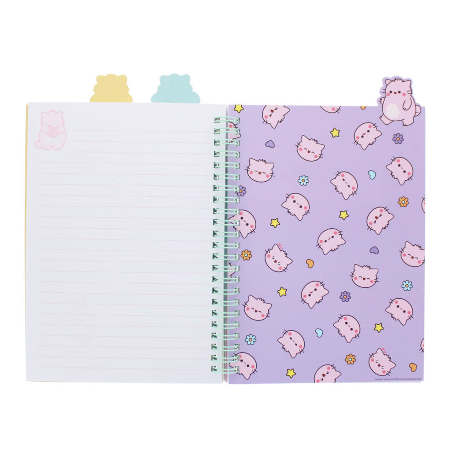 Pembe Project Notebook