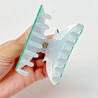 Sanrio Friends Hair Claw
